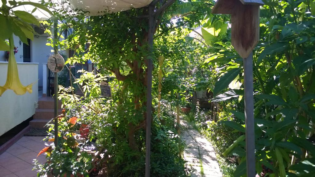 B&B Mare E Sole 布林迪西 外观 照片